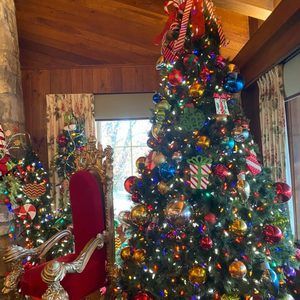 Meet your Posher, Mona